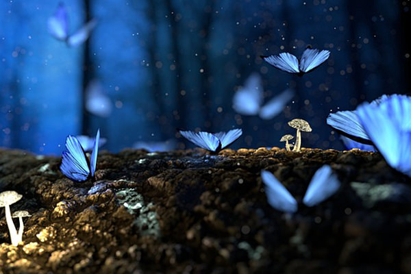 蝶モチーフの意味